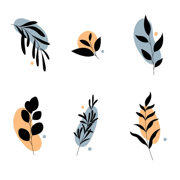 Conjunto de plantas abstractas.Siluetas dibujadas a mano. — Vector de stock