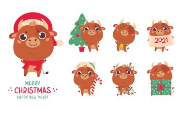 Bir çift şirin öküz ve inek. Mutlu yıllar. 