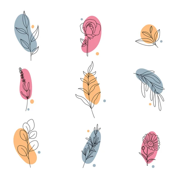 Set dari abstrak plants.Hand gambar garis seni. Grafik Vektor