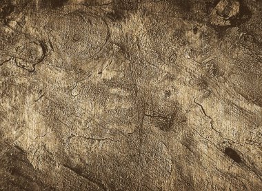 Arka plan resmini dokulu ağaç kabuğu.