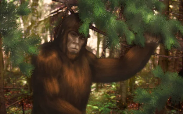 Bigfoot bujkál az erdőben. — Stock Fotó