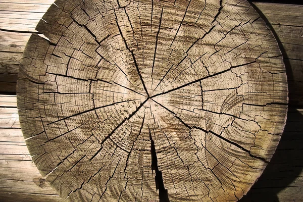 De schoonheid van het deelstuk uitmaakt van natuurlijk hout. — Stockfoto