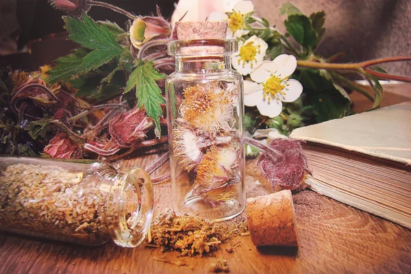 Vasi con erbe aromatiche e fiori di bosco freschi — Foto Stock