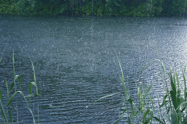 Пейзаж с рекой и дождевыми каплями . — стоковое фото