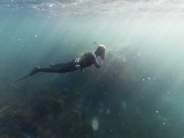 Dalış kıyafeti giyen adam su altında şnorkelle derken serbest dalış yapıyor