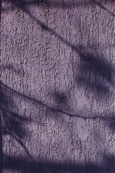 Abstract composition of leaves shadows on the violet wall texture. Creative background — Stock Photo, Image