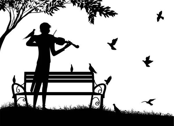 Violinista suona nel parco con piccioni, sognatore di violino, melodia romantica solitaria con uccelli, ricordi nostalgici estivi , — Vettoriale Stock
