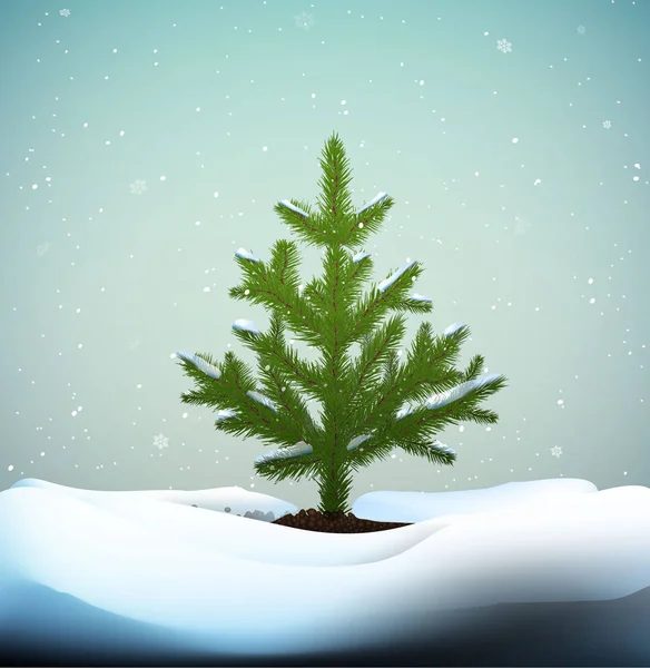 작은 크리스마스 트리 또는 토양에 성장 하는 겨울 눈이 날씨에에서 젊은 전나무 나무, — 스톡 벡터