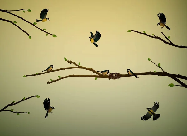 Bahar sezonu, bahar sezonu kuş yuva ağaç dalı kuşlarda baştankara, — Stok Vektör
