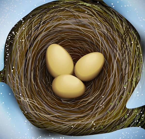 Gniazdo s realistyczny ptaków z trzech jaj, Wielkanoc w przyrodzie, — Wektor stockowy
