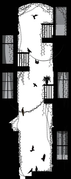 Pigeons dans la cour de la vieille ville, souvenirs noirs et blancs , — Image vectorielle