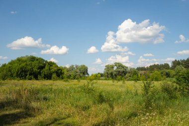 Çayır ve orman manzara arka plan. Mavi gökyüzü ile güneşli bir gün 