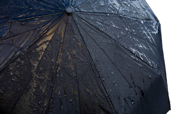 Isleski siyah şemsiye izole arka plan üzerinde görüntü kapatın. Su pülüs