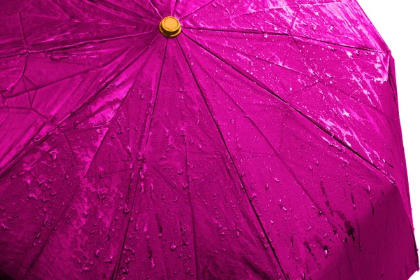 Wet pink umbrella close up image on isolated background. Waterpr