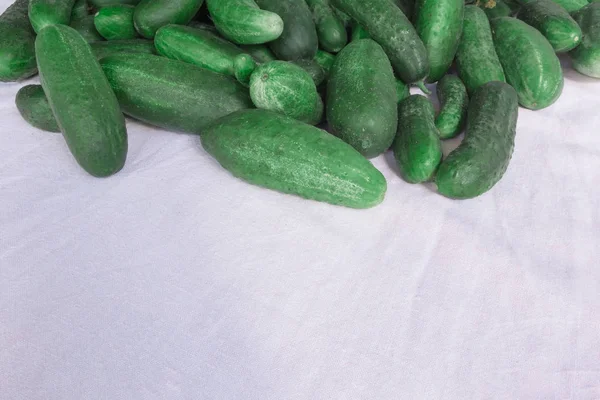 Cucumbers Zbliżenie Obrazu Stos Zielone Warzywa Widok Perspektywiczny Przestrzeni Kopiowania — Zdjęcie stockowe