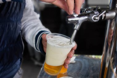 Adam piknik sırasında plastik cam taslak bira döker. Yakın im