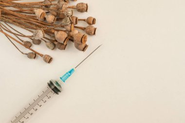 Haşhaş pods kazık ve beyaz arka plan üzerinde şırınga makro kullanılan 