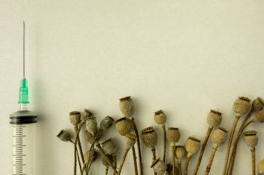 Haşhaş pods kazık ve beyaz arka plan üzerinde şırınga makro kullanılan 