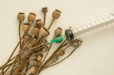 Haşhaş pods kazık ve beyaz arka plan üzerinde şırınga makro kullanılan 