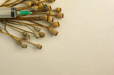 Haşhaş pods kazık ve beyaz arka plan üzerinde şırınga makro kullanılan 