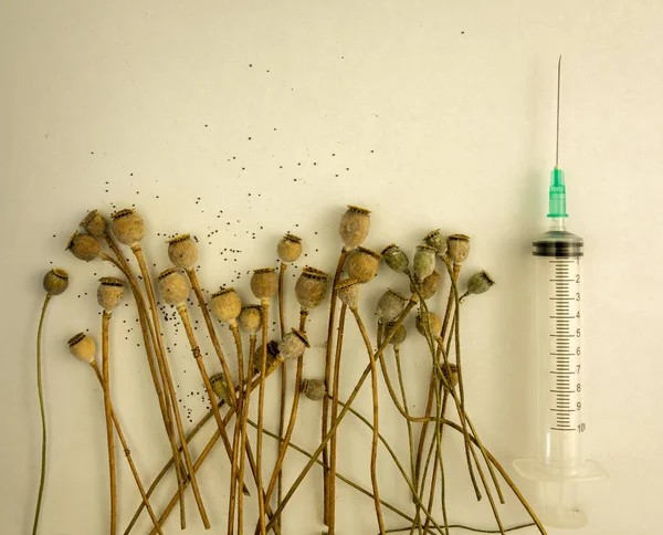 Haşhaş pods kazık ve beyaz arka plan üzerinde şırınga makro kullanılan 