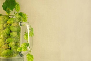 Yeşil hop konileri ve twining bines aro ile dolu bira cam kupa