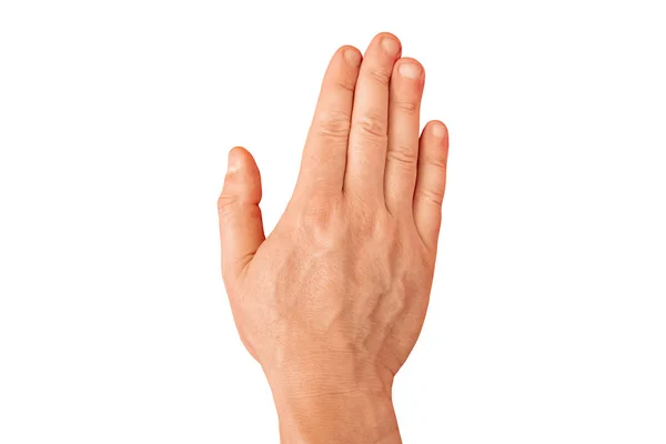 Nyissa ki a tenyerét egy felnőtt férfi egyenes, zárt ujjával. Gesztus — Stock Fotó