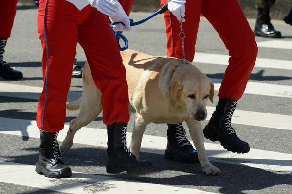 Río Janeiro Brasil Septiembre 2018 Desfile Cívico Militar Celebrando Independencia —  Fotos de Stock