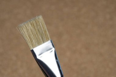 cork arka plan üzerinde fırça detayını kıllar.