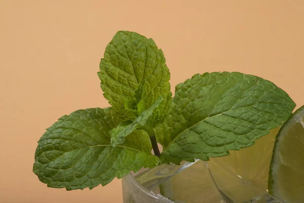 Detail Mint Leaf Caipirinha Glass — Stock Photo, Image