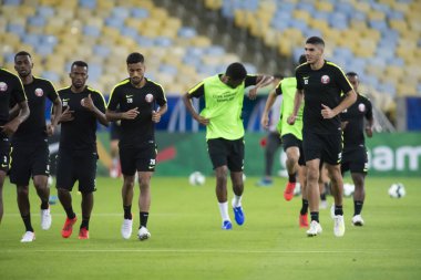 Amerika Kupası 2019