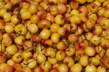 pazar rafında kiraz.