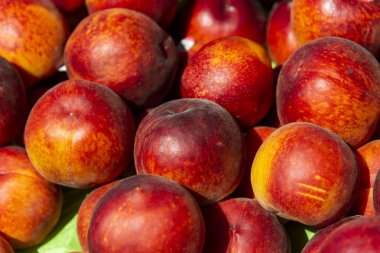 Market Rafında Nektarin.