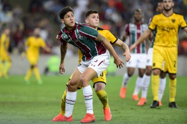 Sudamerica Kupası 2019