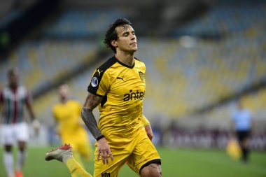 Sudamerica Kupası 2019