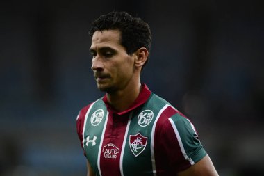 Brezilya Şampiyonası 2019