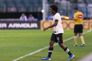 Brezilya Şampiyonası 2019