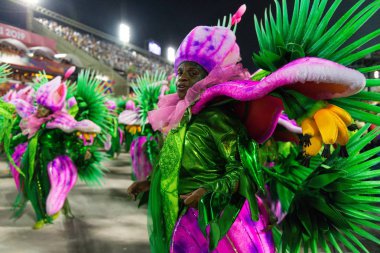 Karnaval 2019 - Beija Flor