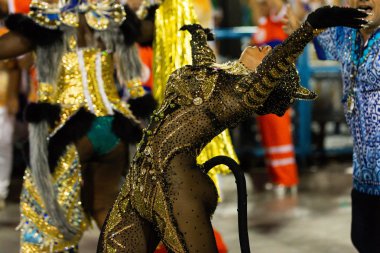 Karnaval 2019 - Beija Flor