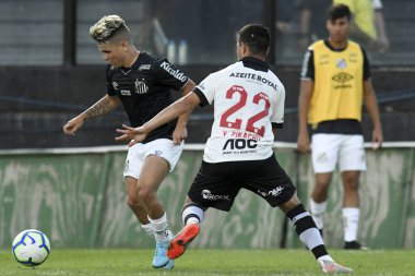 Carioca Şampiyonası 2019