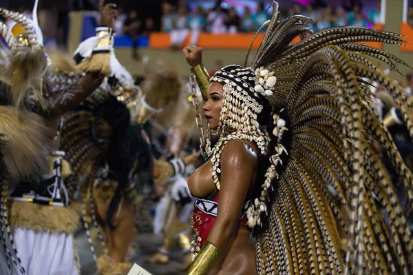 Carnaval 2019 - Mangueira —  Fotos de Stock