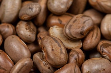 Çiğ carioca fasulyesi, yukarıdan görünüyor, baklagiller. Frijol Pinto olarak da bilinir, Seçici odak.