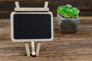 Arkaplanda bulanık bitki içeren bilgi yazmak için kara tahta