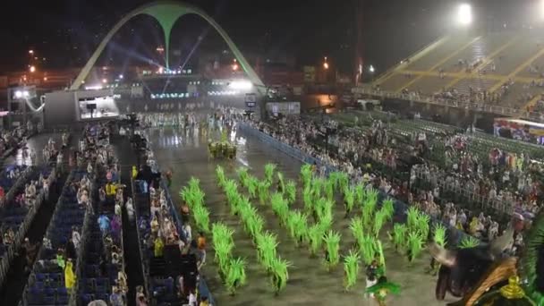 Río Brasil Febrero 2020 Desfile Escuela Samba Academicos Santa Cruz — Vídeos de Stock