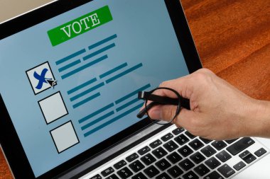 İnternet üzerinden oylama yapan kişi