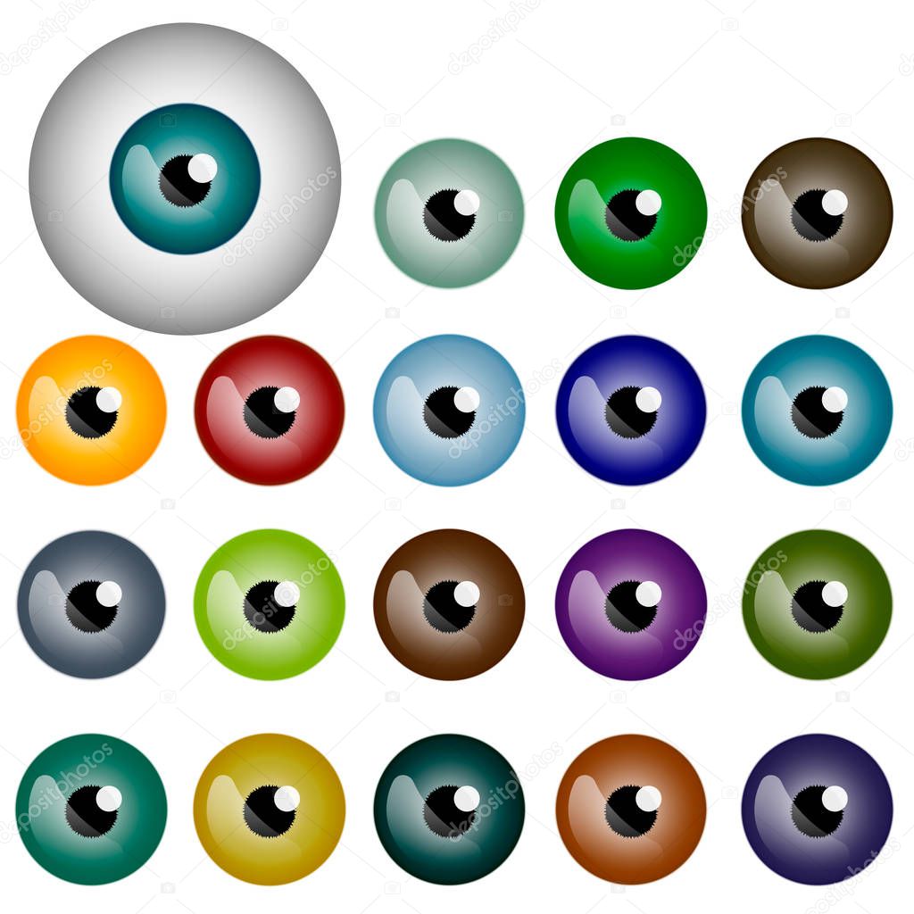 Set of realistic eyes with different colors of irises. vector illustration