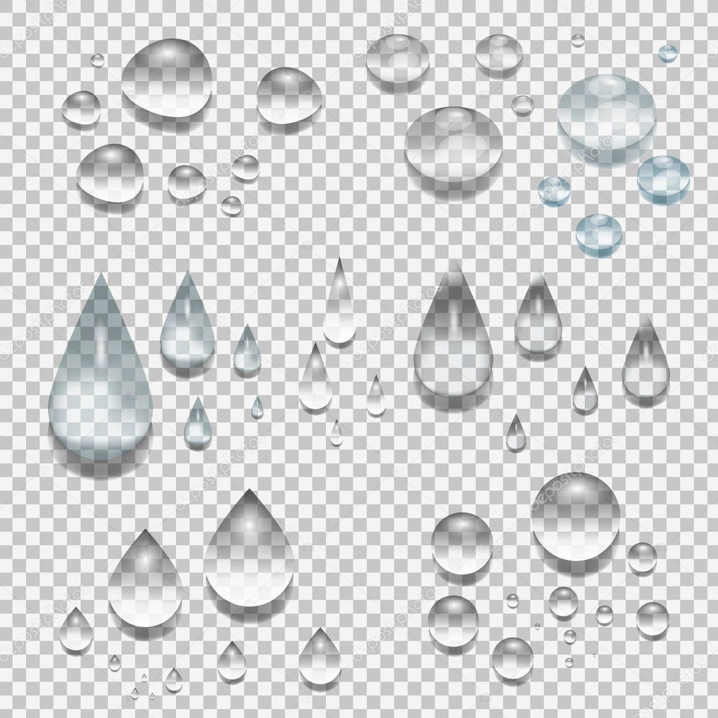 Transparent water drops of different forms. vector