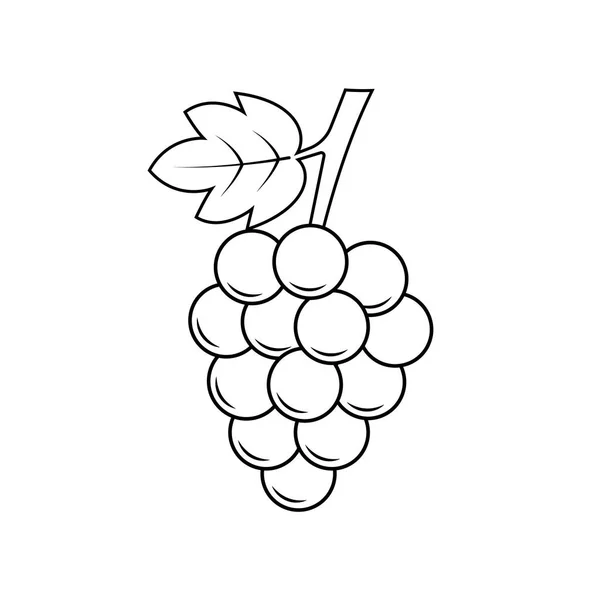 Üzüm Simgesi . Meyve Vektör İşareti ve Sembolü