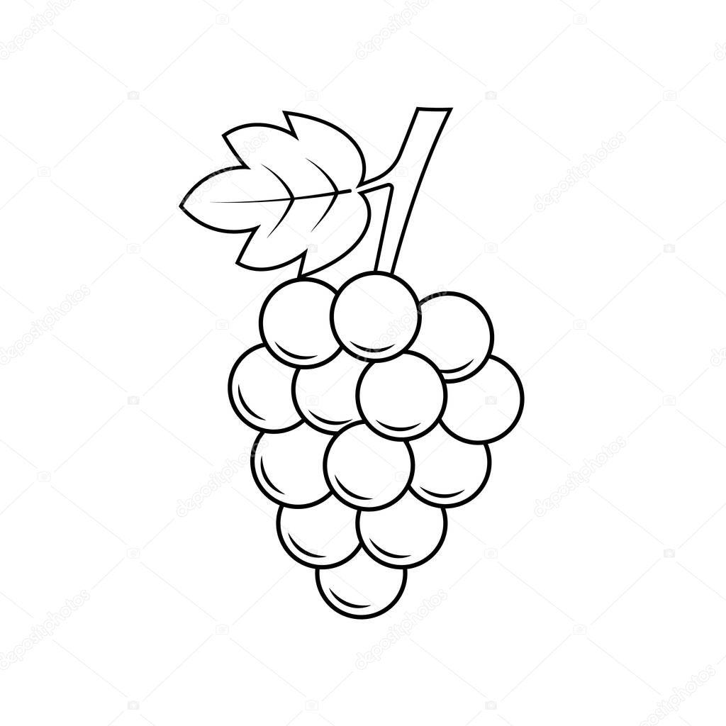 Grape Icon. Fruit Vector Sign and Symbol.