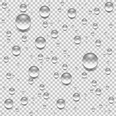 Su, yağmur, çiy ya da su damlaları saydam arkaplanda izole edilmiş..